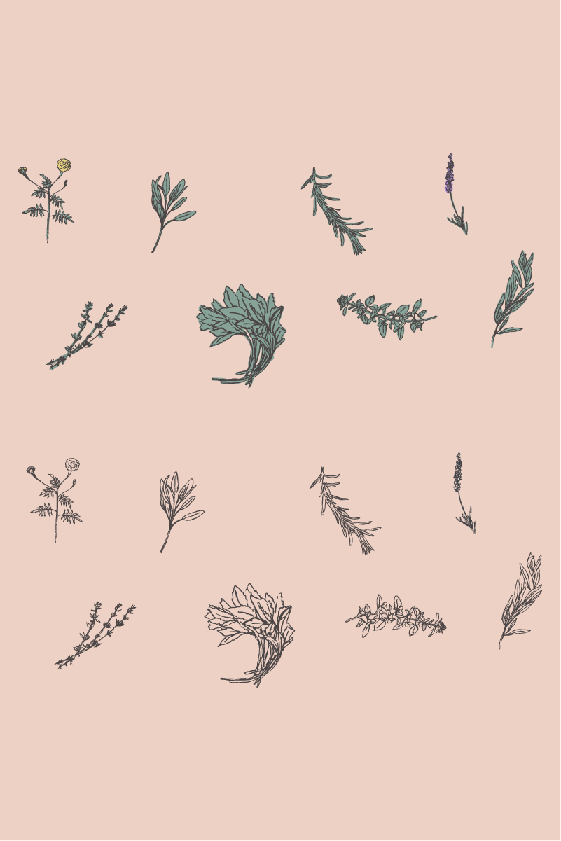 Botanical Branding for Herbal Shops